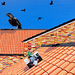 Me Dad Had It (Mei Albas Abbatus Donum)